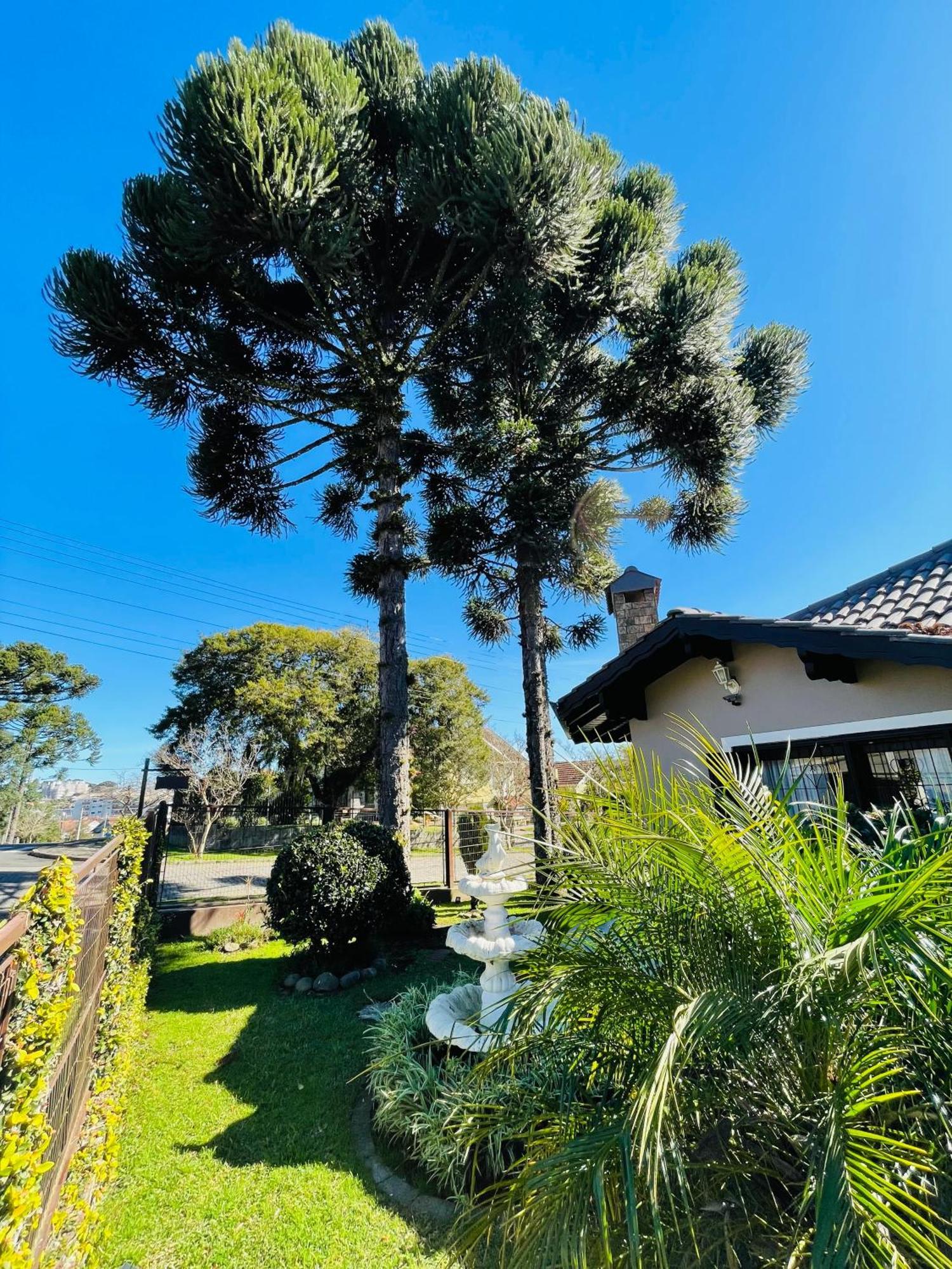 Residencial Pine House Canela Exterior foto